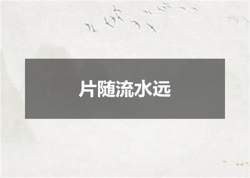 片随流水远