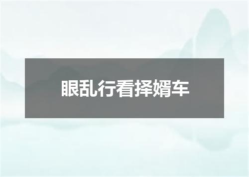 眼乱行看择婿车