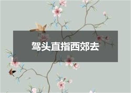 驾头直指西郊去