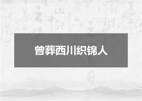 曾葬西川织锦人
