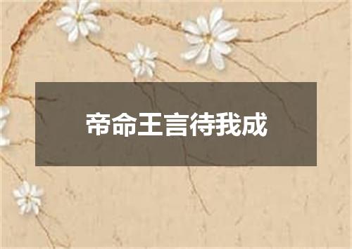 帝命王言待我成