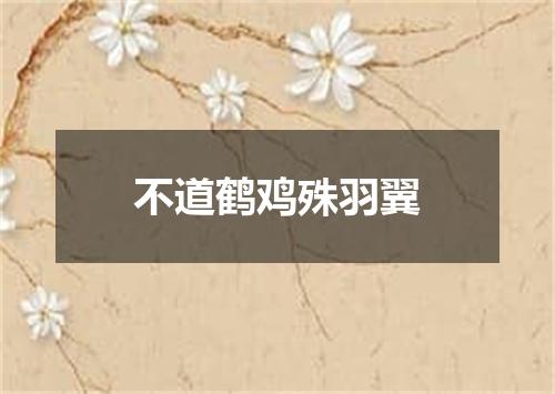不道鹤鸡殊羽翼