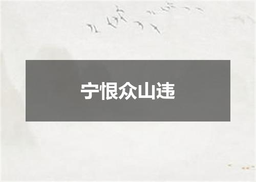 宁恨众山违