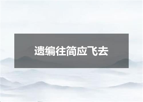 遗编往简应飞去
