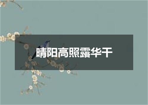 晴阳高照露华干