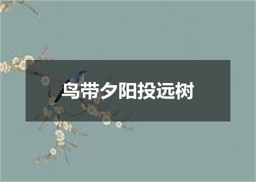 鸟带夕阳投远树