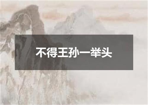 不得王孙一举头