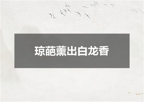 琼葩薰出白龙香