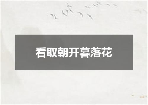 看取朝开暮落花
