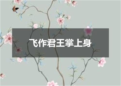 飞作君王掌上身