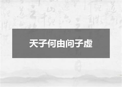 天子何由问子虚