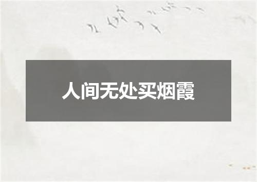 人间无处买烟霞