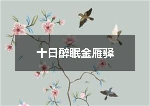 十日醉眠金雁驿