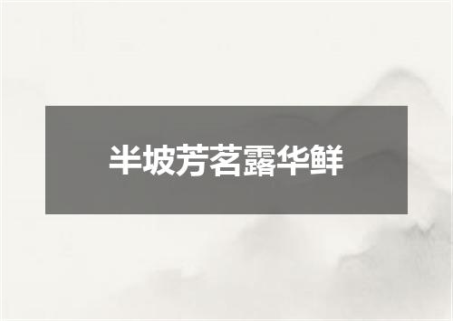 半坡芳茗露华鲜