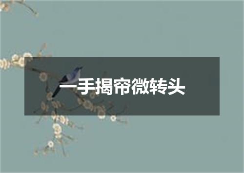 一手揭帘微转头