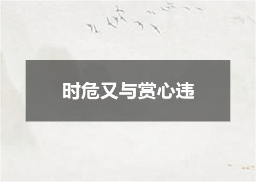时危又与赏心违