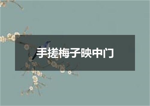 手搓梅子映中门