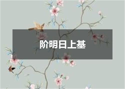 阶明日上基