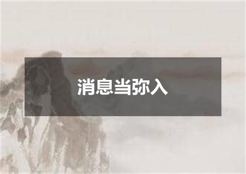消息当弥入