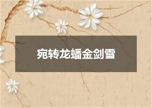 宛转龙蟠金剑雪