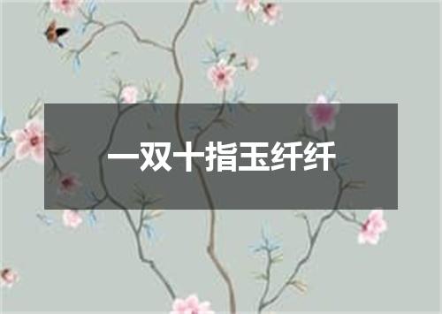 一双十指玉纤纤