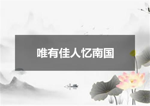 唯有佳人忆南国