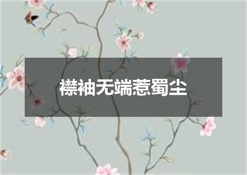 襟袖无端惹蜀尘