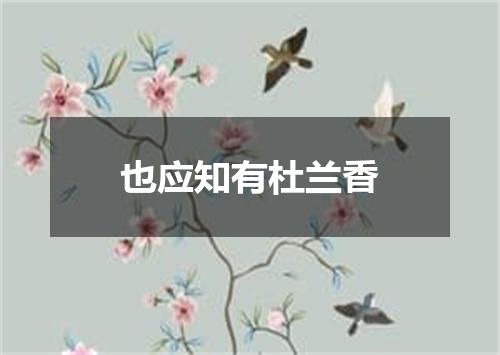 也应知有杜兰香