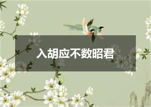 入胡应不数昭君