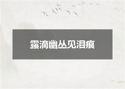 露滴幽丛见泪痕