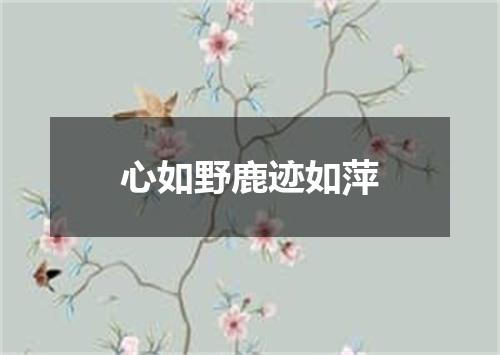 心如野鹿迹如萍