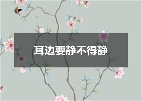 耳边要静不得静