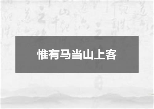 惟有马当山上客