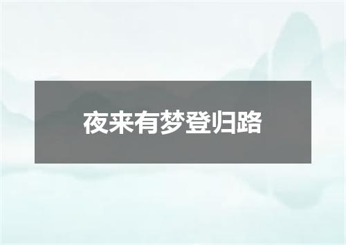 夜来有梦登归路