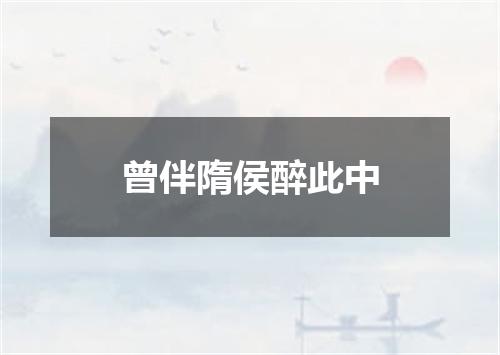 曾伴隋侯醉此中