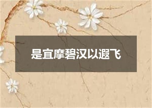 是宜摩碧汉以遐飞