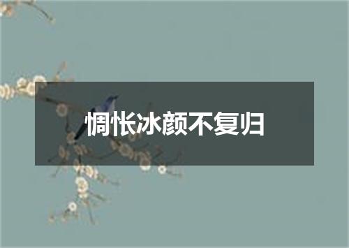 惆怅冰颜不复归