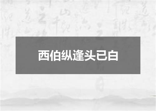 西伯纵逢头已白