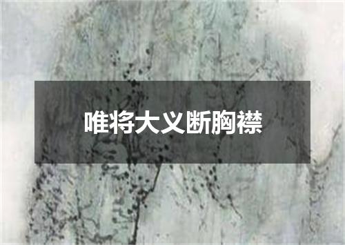 唯将大义断胸襟