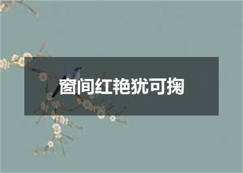 窗间红艳犹可掬