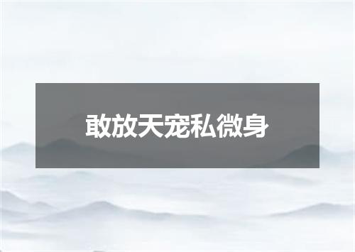 敢放天宠私微身