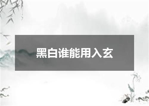 黑白谁能用入玄
