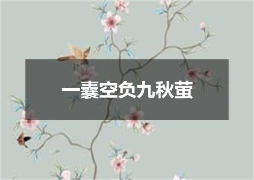 一囊空负九秋萤
