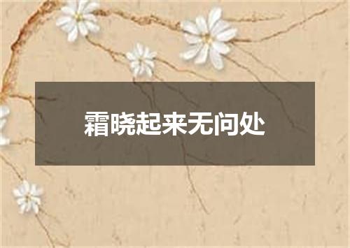 霜晓起来无问处