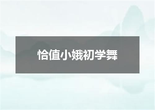 恰值小娥初学舞