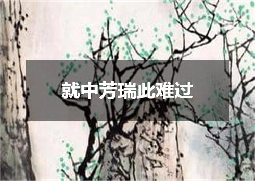 就中芳瑞此难过