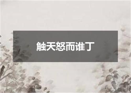 触天怒而谁丁