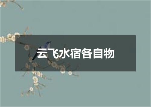 云飞水宿各自物