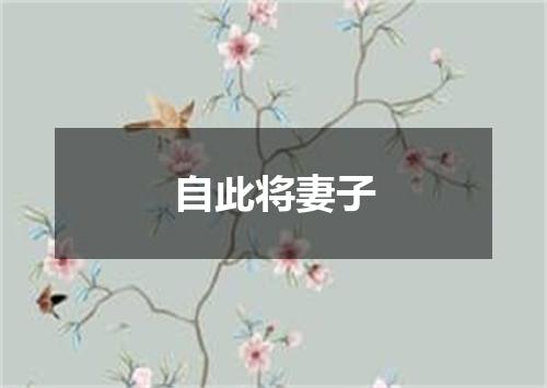 自此将妻子