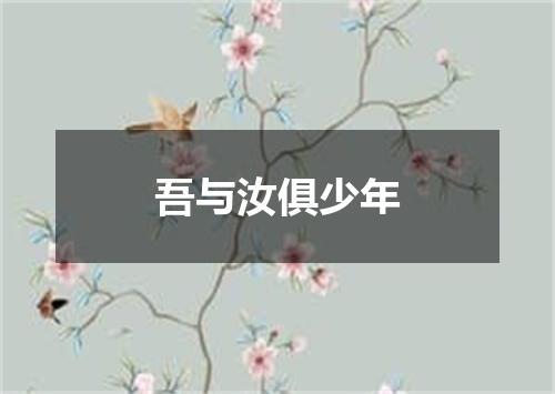 吾与汝俱少年